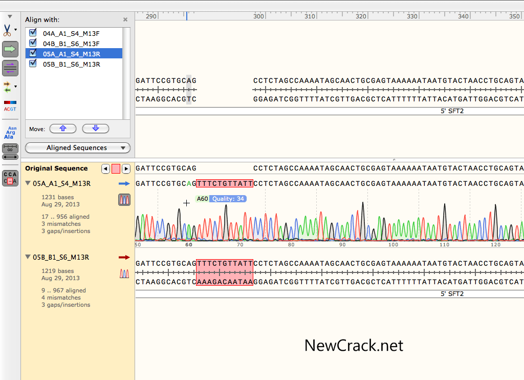 SnapGene 4.2 Crack Full Version With License Key Download
